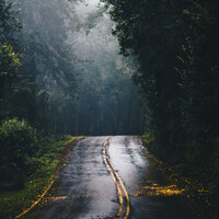 Pure Deep Sleep - Study Music Library & Sleep Rain & Healing Meditation Zone