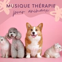 Sur le coussin - Les Animaux
