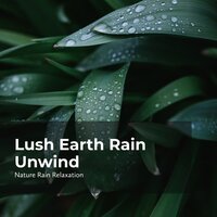 Paradise Rain Serenity - Rain Recorders & Rainfall & Nature Rain Relaxation