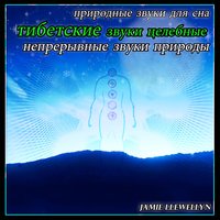 Тибетские целебные звуки - Jamie Llewellyn