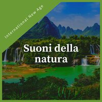 Blissful Life - International New Age