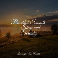 O2 - Nature Ambience & Tranquil Music Sounds of Nature & Internal Yoga