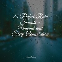 White Noise Rainy Forest - Ambient Nature White Noise & Meditation Awareness & Binaural Creations