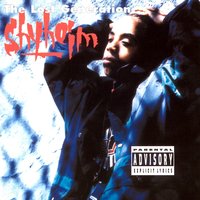 Real Bad Boys - Shyheim