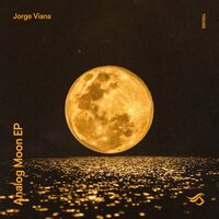Kites in the Ground - Jorge Viana
