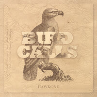 Dizzycopter - HawkOne