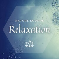 Stress Relief Ambient Sounds - Meditway