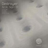 Arctic Night - Destroyer