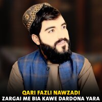 Da Zakhmi Zargai Lewanai - Qari Fazli Nawzadi