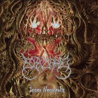 Damp Earth - Bizarre
