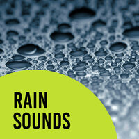 True Nature - Rain Sounds Sleep