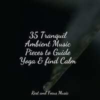 Twilight Outside - Study Power & Música para Massagem Especialistas & Zen Meditate