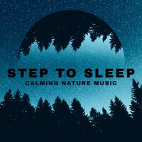 Vibrational Healing - Mindfulness Meditation Music Spa Maestro