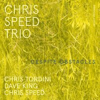 Sunset Park in July - Chris Speed Trio & Dave King & Chris Tordini