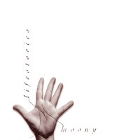 Dove ( I'll Be Loving You ) - Moony