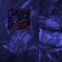 Senses - Dvz