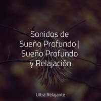 En el Viento - Sonidos De La Naturaleza & Relajación Meditar Academie & Musica Para Niños