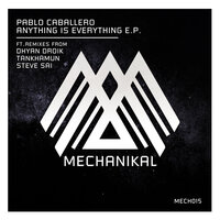 Anything Is Everything - Pablo Caballero & Dhyan Droik