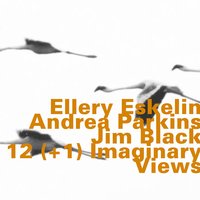 Kicks - Andrea Parkins & Jim Black & Ellery Eskelin