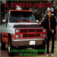Divino Tormento - El Potro De Sinaloa
