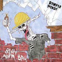 Ausser Rand und Band - Dimple Minds