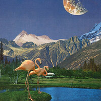 Birds Aren't Real - Ben Beal & byJ.