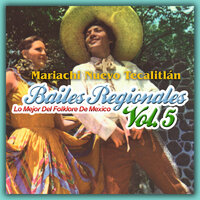 La Tortuga del Arenal - Mariachi Nuevo Tecalitlan