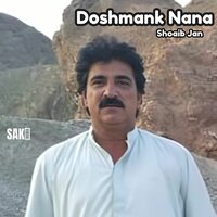 Dilara Jan - Shoaib Jan