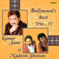 Tum Dil Ki Dhadkan Mein.. - Kumar Sanu