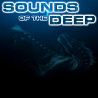 White Noise of the Deep - Sounds of the Deep & White Noise Ambience & National Geographic Soundscapes & White Noise Sounds For Sleep & Soothing Sounds & Soothing Baby Sounds