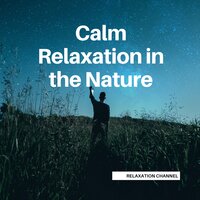 Thunder with a little Rain (Loopable, No Fade) - Nature Sounds & Relaxation Channel & Loopable Sleep Sounds for Baby