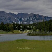 Río Que Fluye - Natureza & Canciones Infantiles Para Niños & Massagem Coleção de Músicas