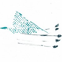 Dualisms - Illuminine