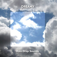 Rain Sounds - Zen - Winds and Oceans & Winds and Oceans, ,