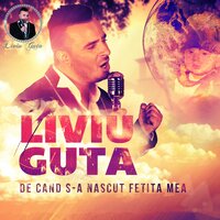 Tu Ai Plecat - Liviu Guta
