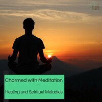 Fascinating Mindful Melodies - Jimmy Woods