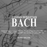 Fantasia and Fugue in G Minor, BWV 542 - Helmut Walcha & Johann Sebastian Bach