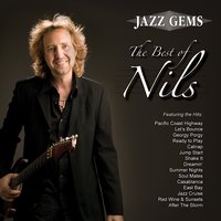 Summer Nights - Nils