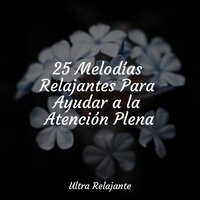 Deja Que Todo Se Vaya - Academia de Meditação Buddha & Meditación Maestro & Sonidos De Truenos y Lluvia