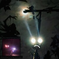 scooter and nettles - petya yastreb