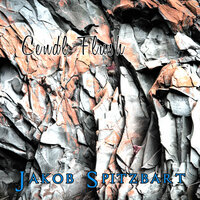 Cyberport - Jakob Spitzbart