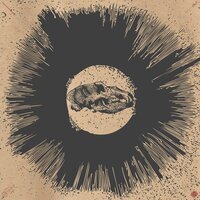 Transit Gloria - Nomaton