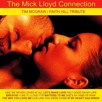 Like We Never Loved at All - The Mick Lloyd Connection