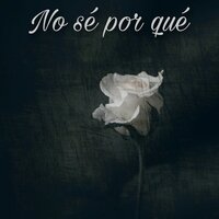No Se Por Qué - Simple RFS & Red Light Studio