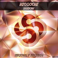 Vse Mojno - Biggoose