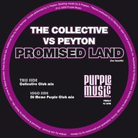 Promised Land - Peyton & DJ Memê & The Collective