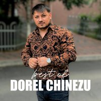 N-am nevoie de palate - Dorel Chinezu