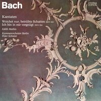 Rezitativ: "Ein edler Mensch ist Perlenmuscheln gleich" - Peter Schreier & Edith Mathis & Kammerorchester Berlin & Johann Sebastian Bach
