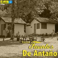 Que Se Mueran de Envidia - Teresita Rendón