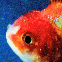 BagBak - Vince Staples